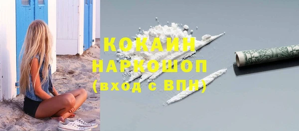шишки Березники