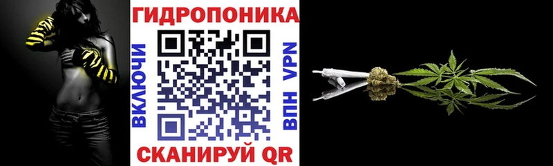 как найти закладки Короча Конопля сатива